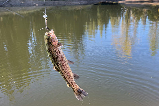 boletín pesca 7 ANTAI